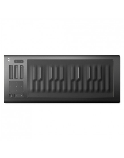Roli Seaboard Rise 25